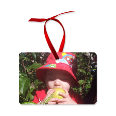 Horizontal Photo Ornament