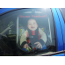 Car Sun shade