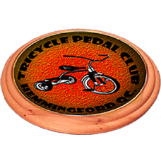 Wood Coaster Set
