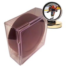 Hockey Puck Display