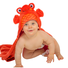 Hooded Towel Crab